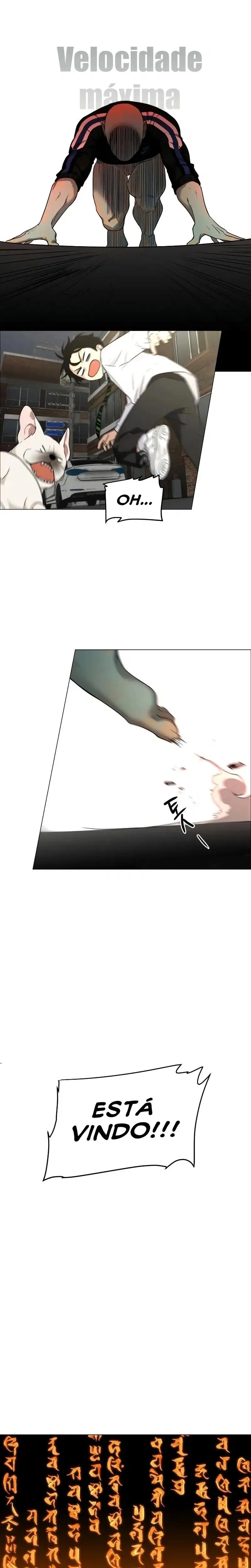 Página 41