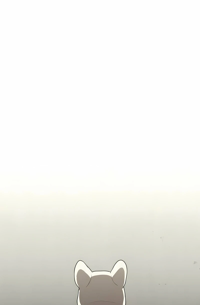 Página 96