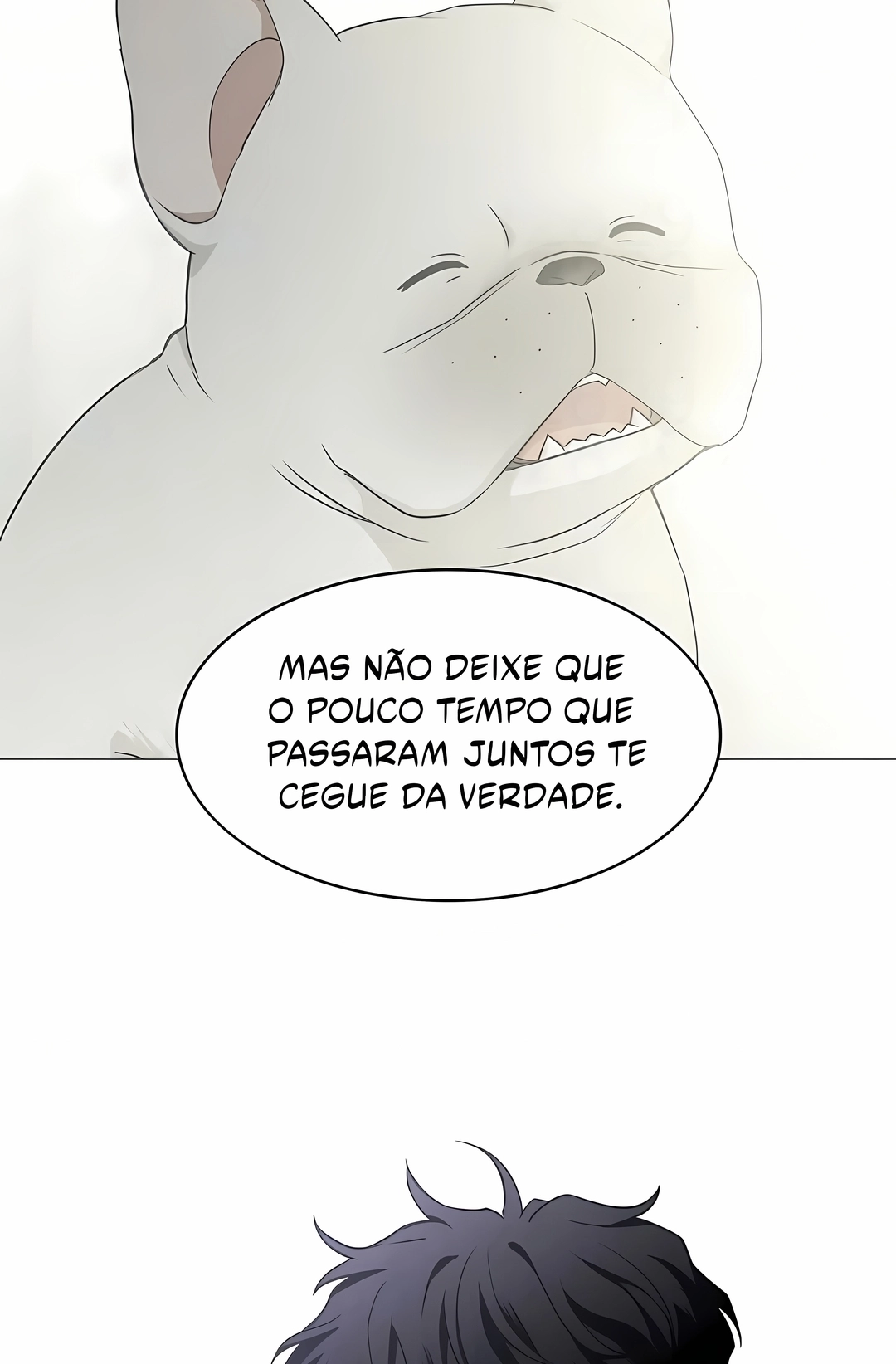 Página 95