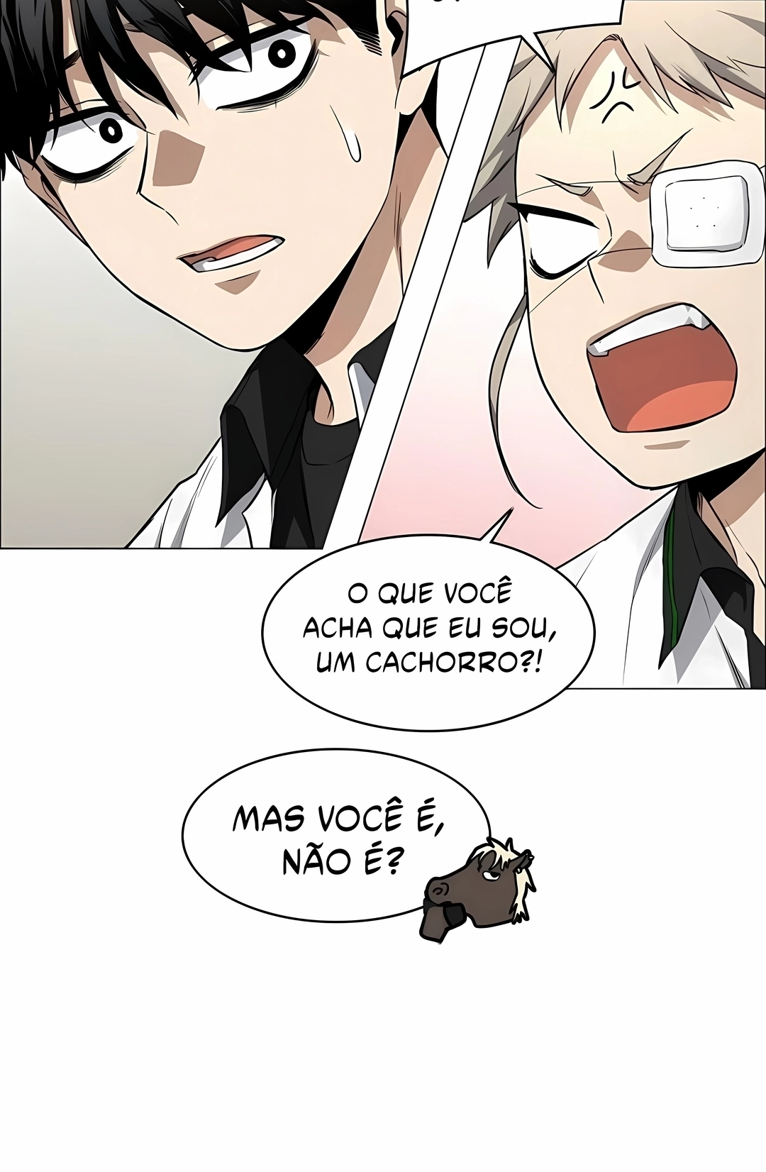 Página 29