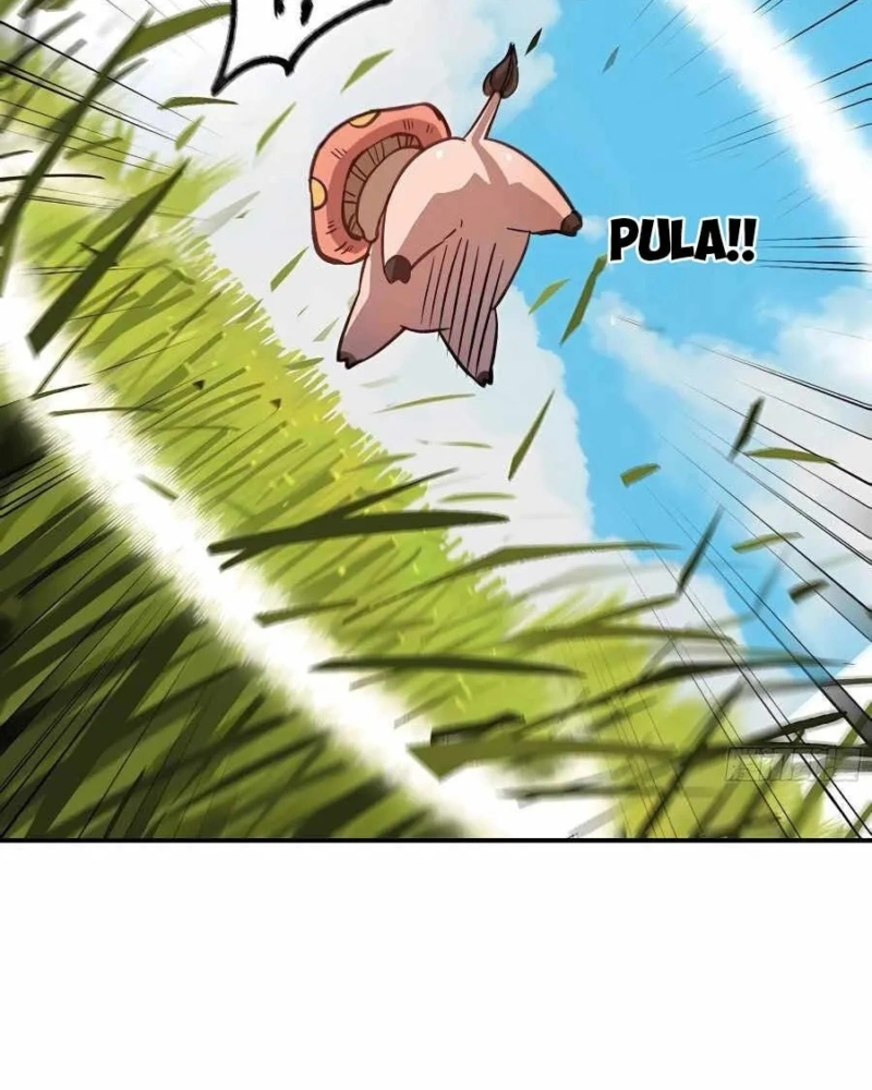 Página 50