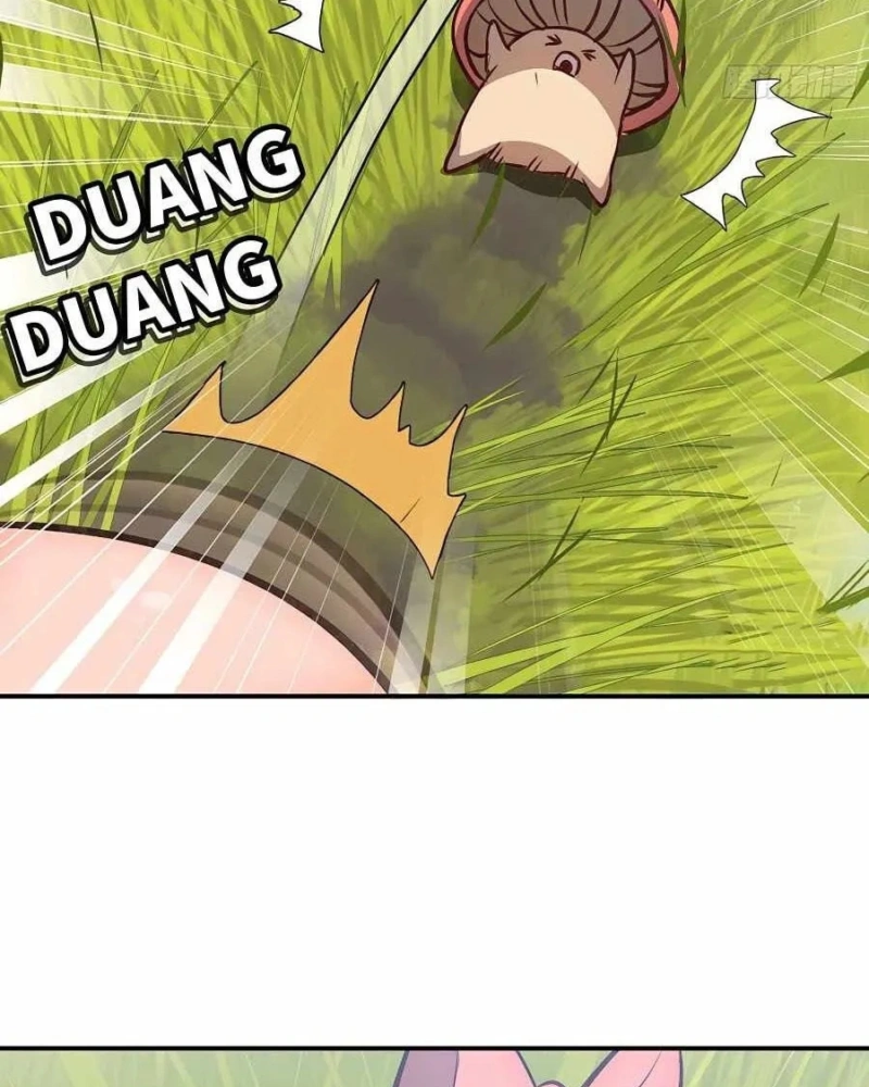 Página 45