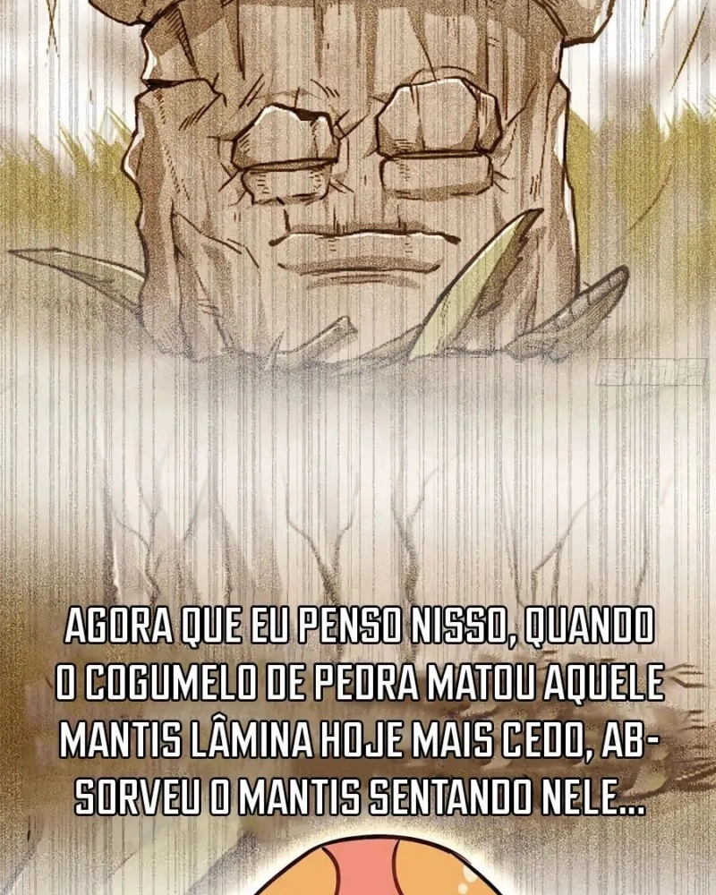 Página 41