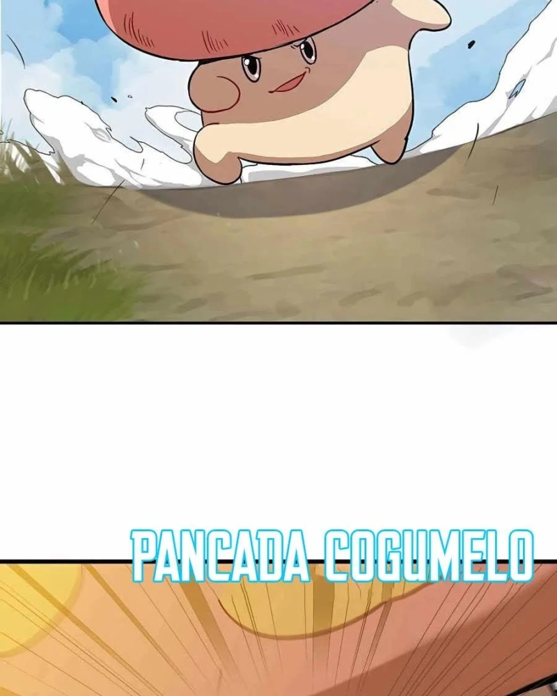 Página 44