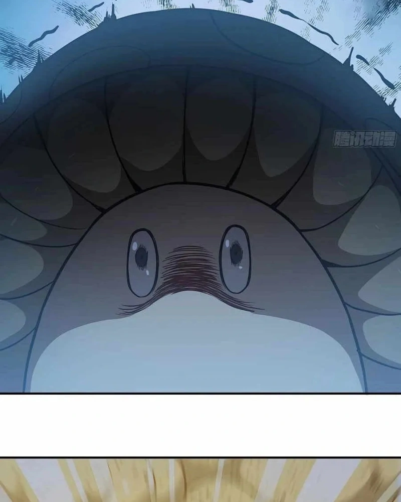 Página 51