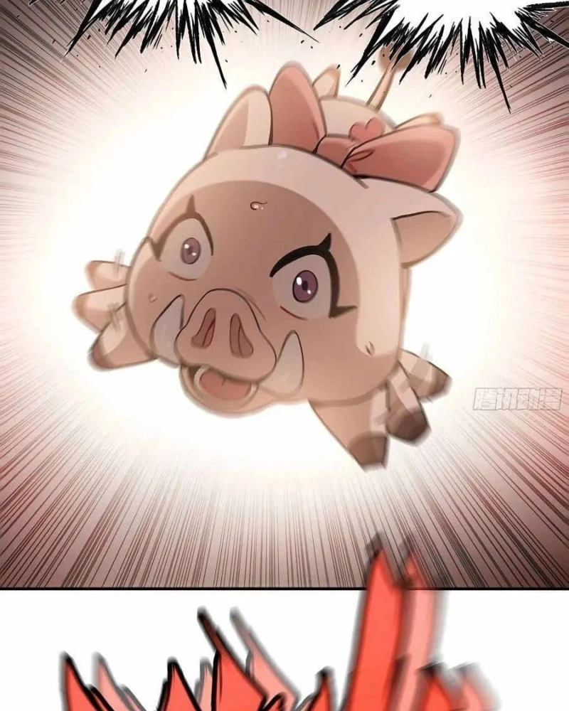 Página 65