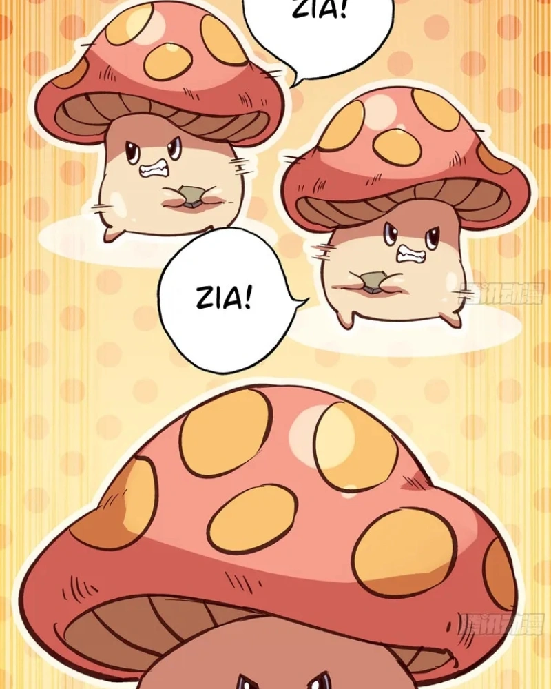 Página 47