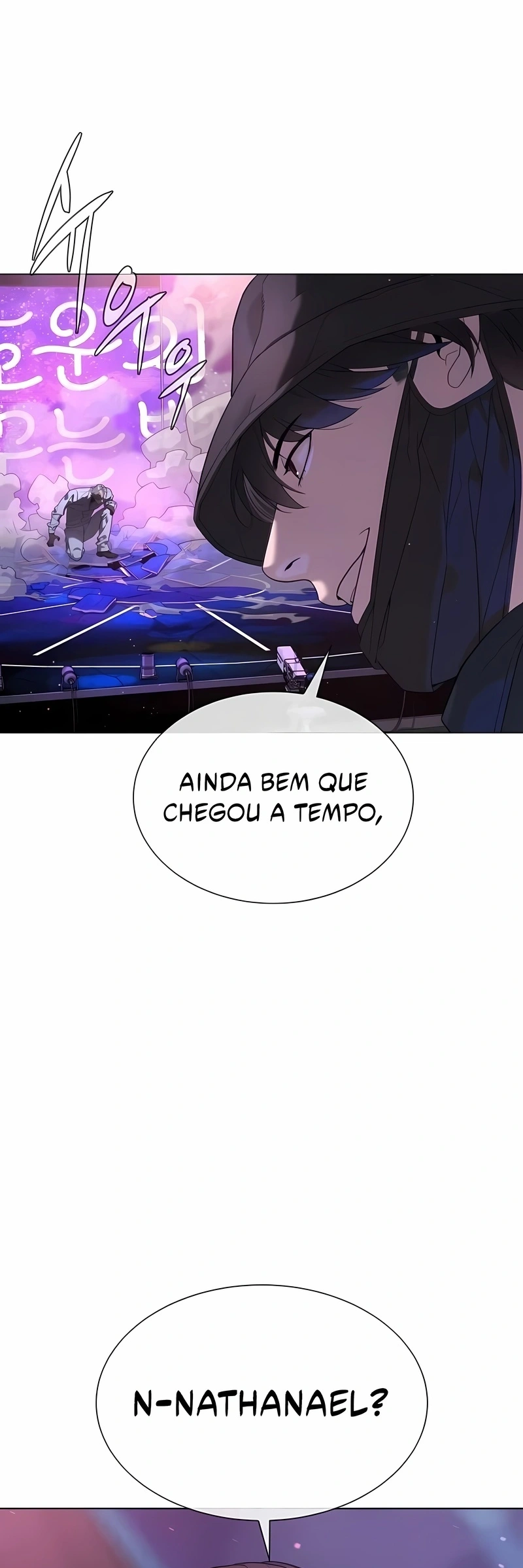 Página 100