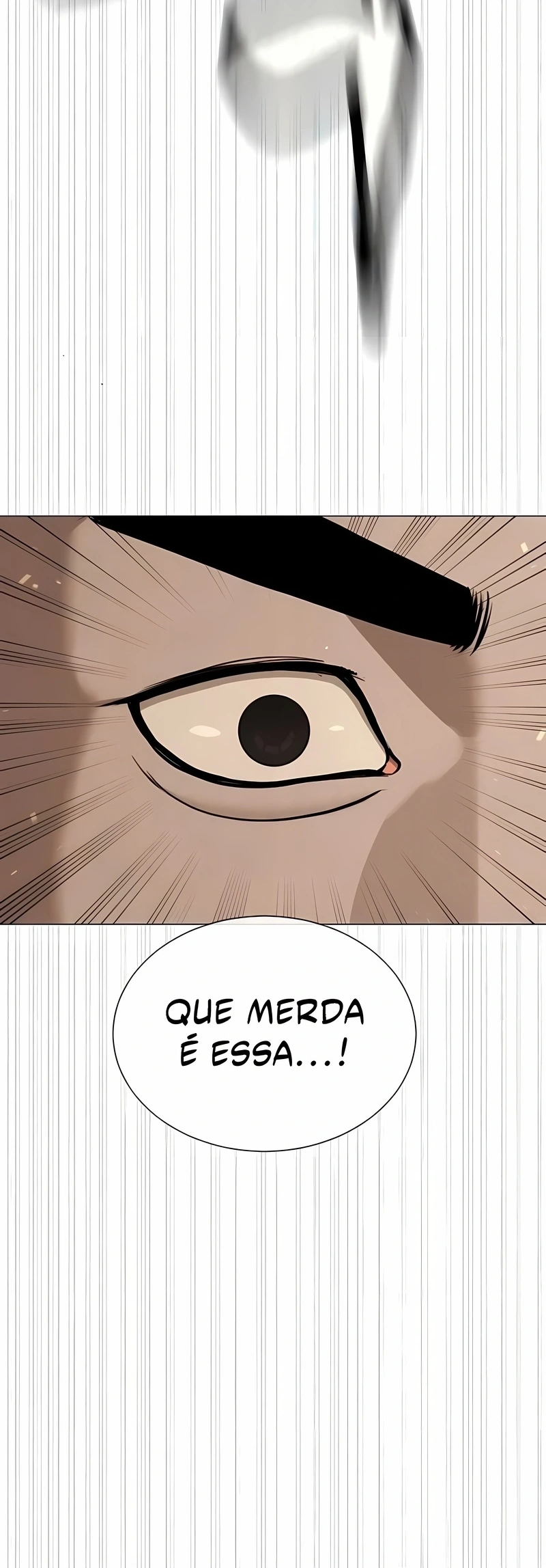 Página 113