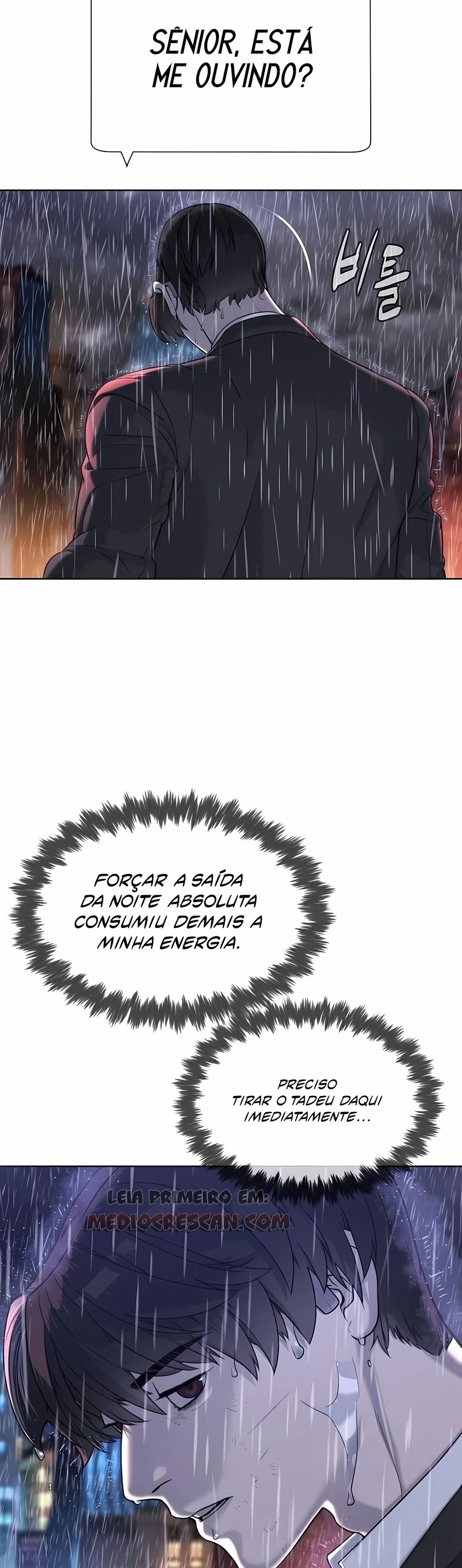 Página 100