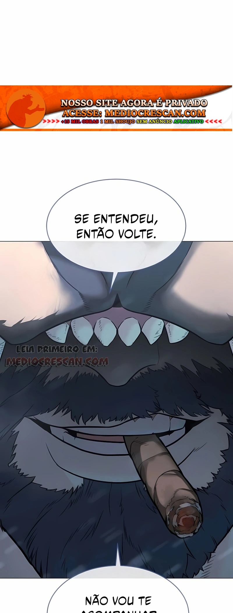 Página 101