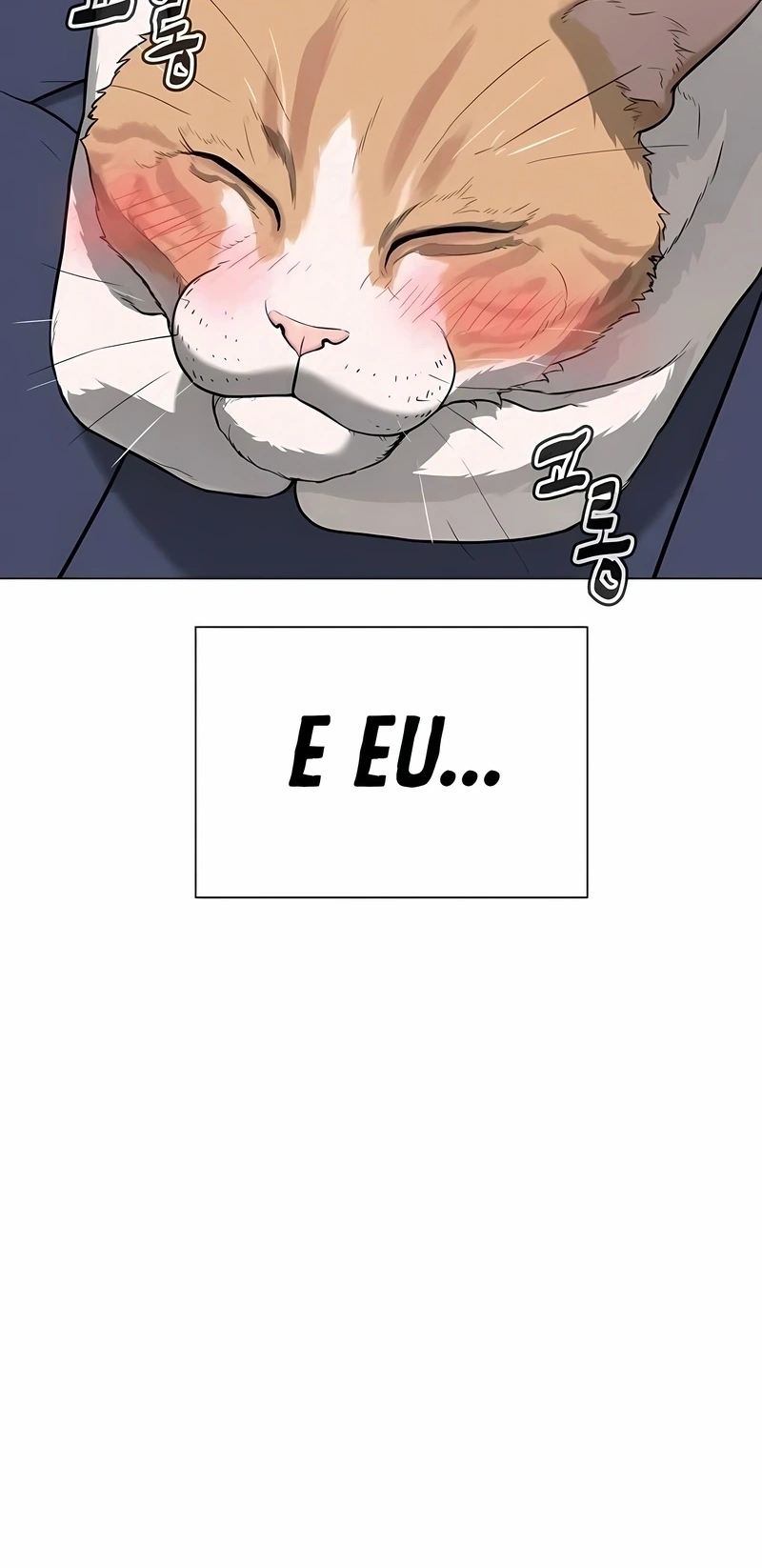 Página 97