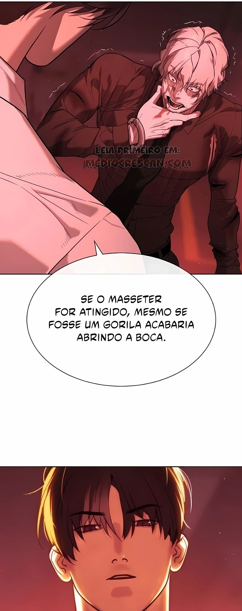 Página 29