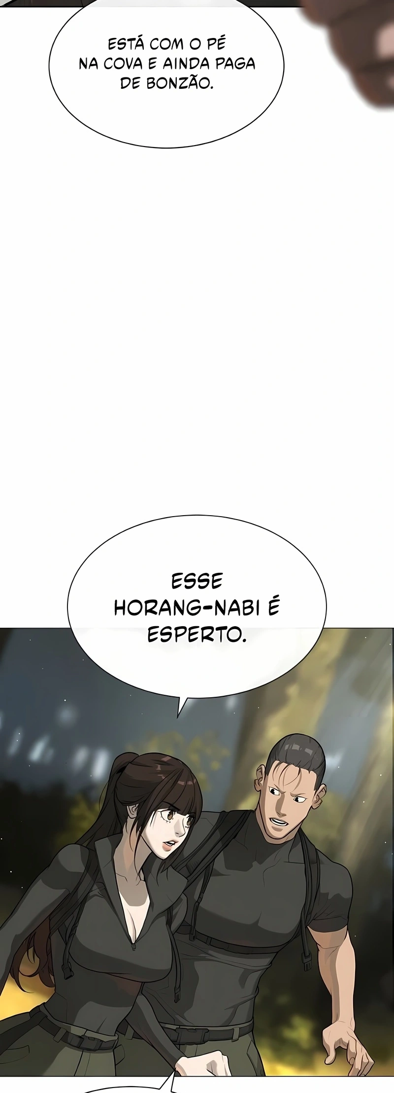 Página 113