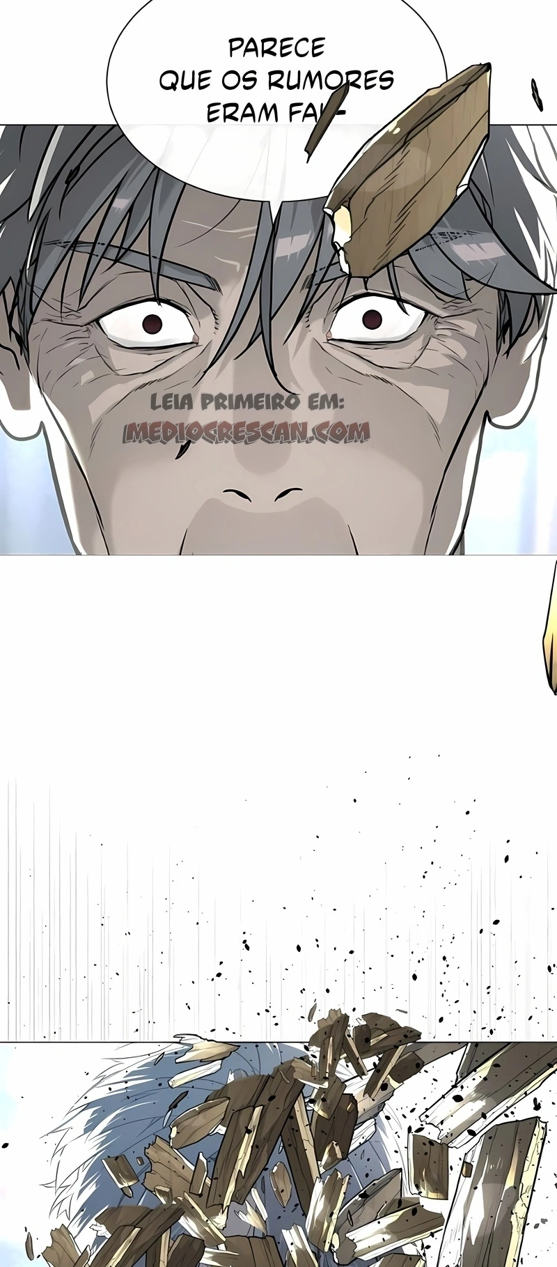Página 100