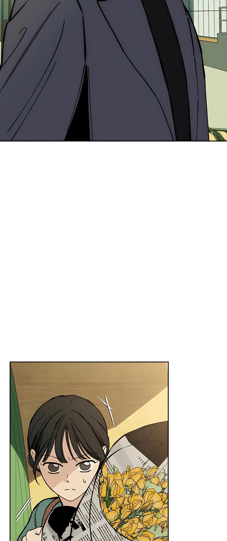 Página 52