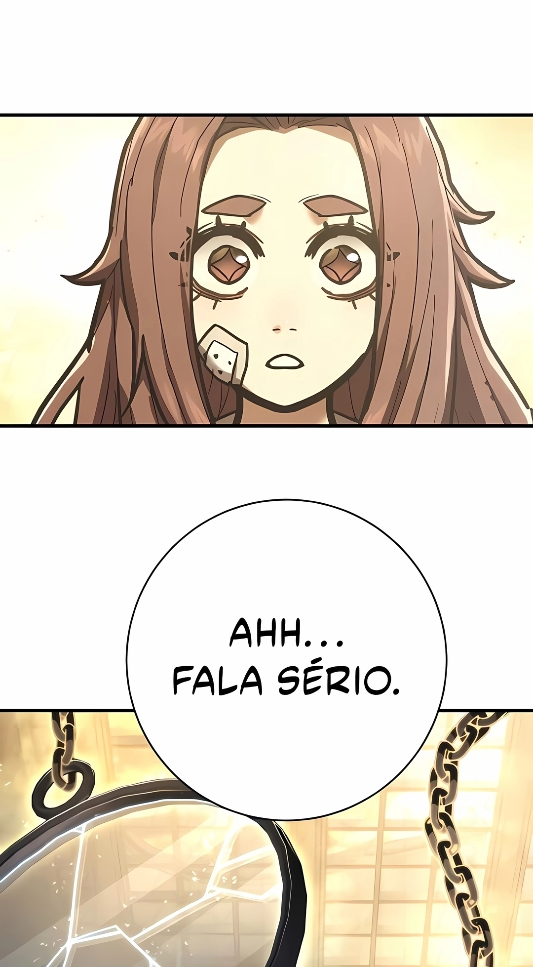 Página 113