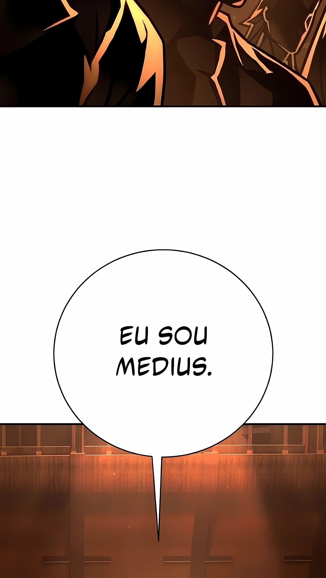 Página 113