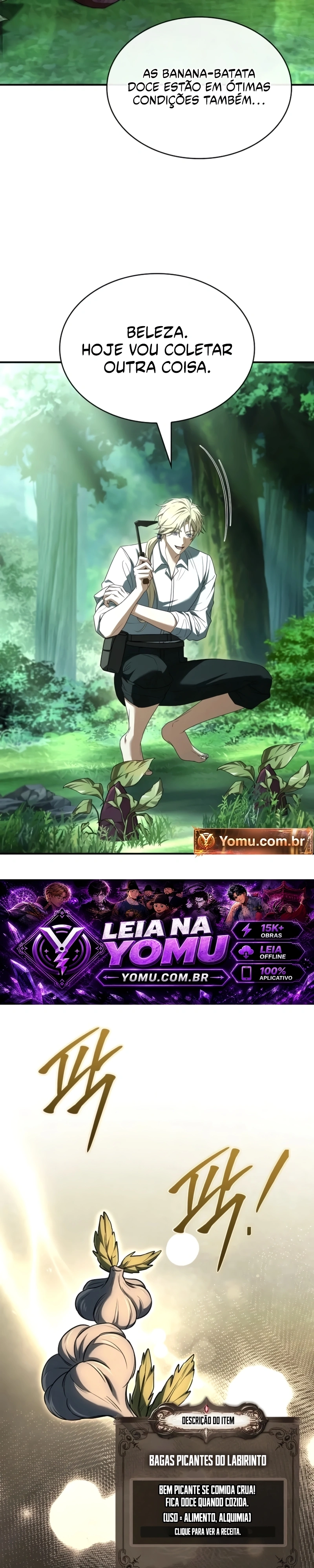 Página 33