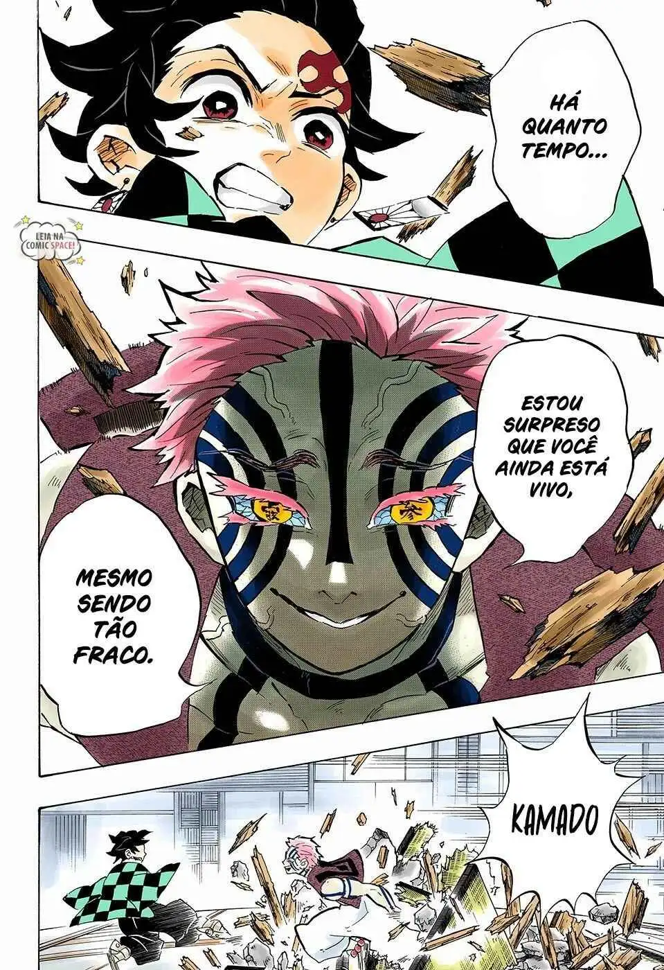 Página 17