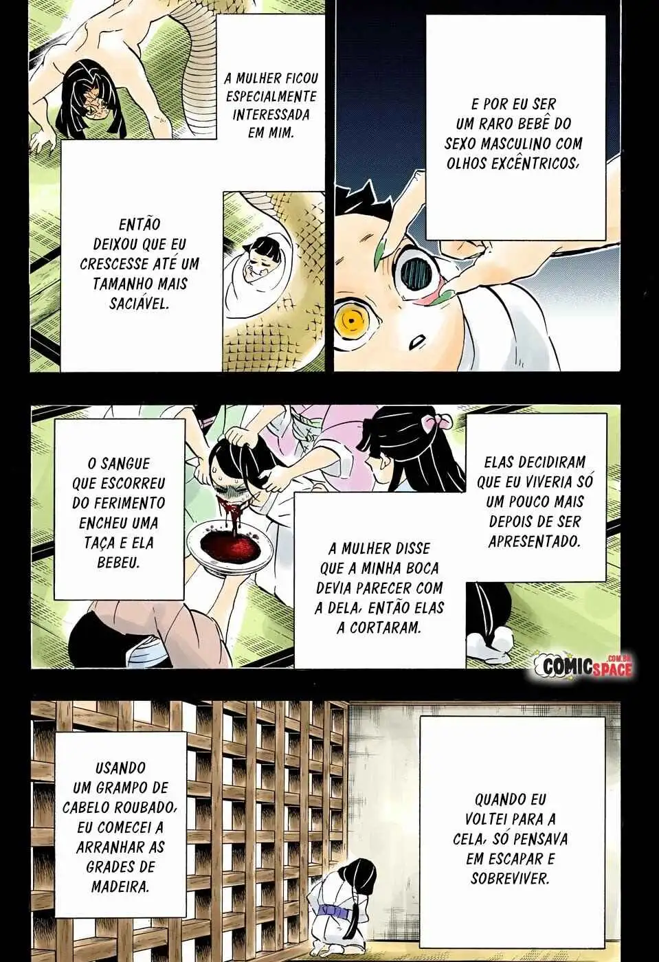 Página 17