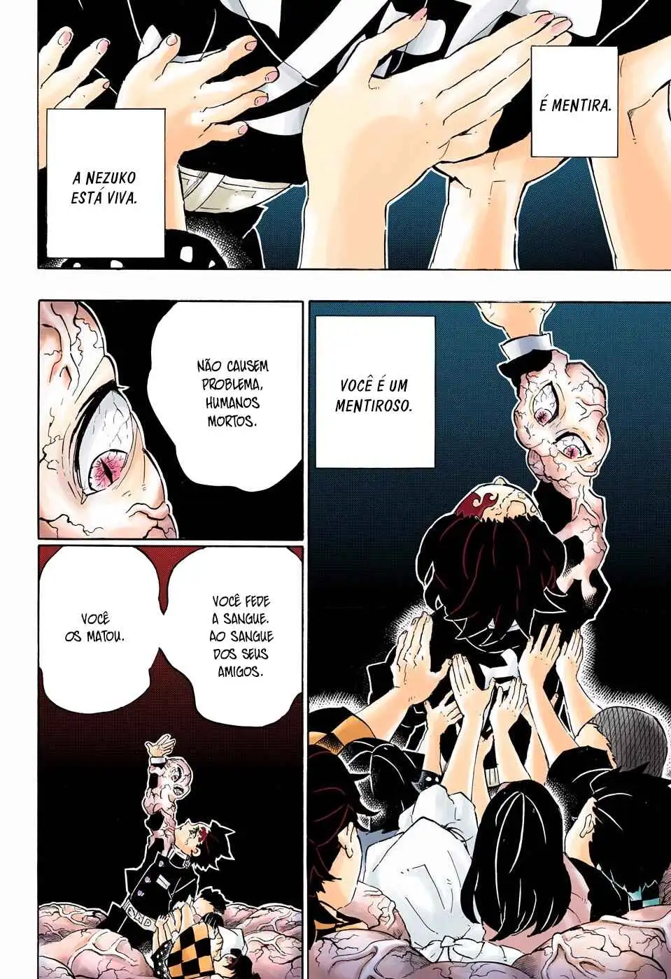 Página 5