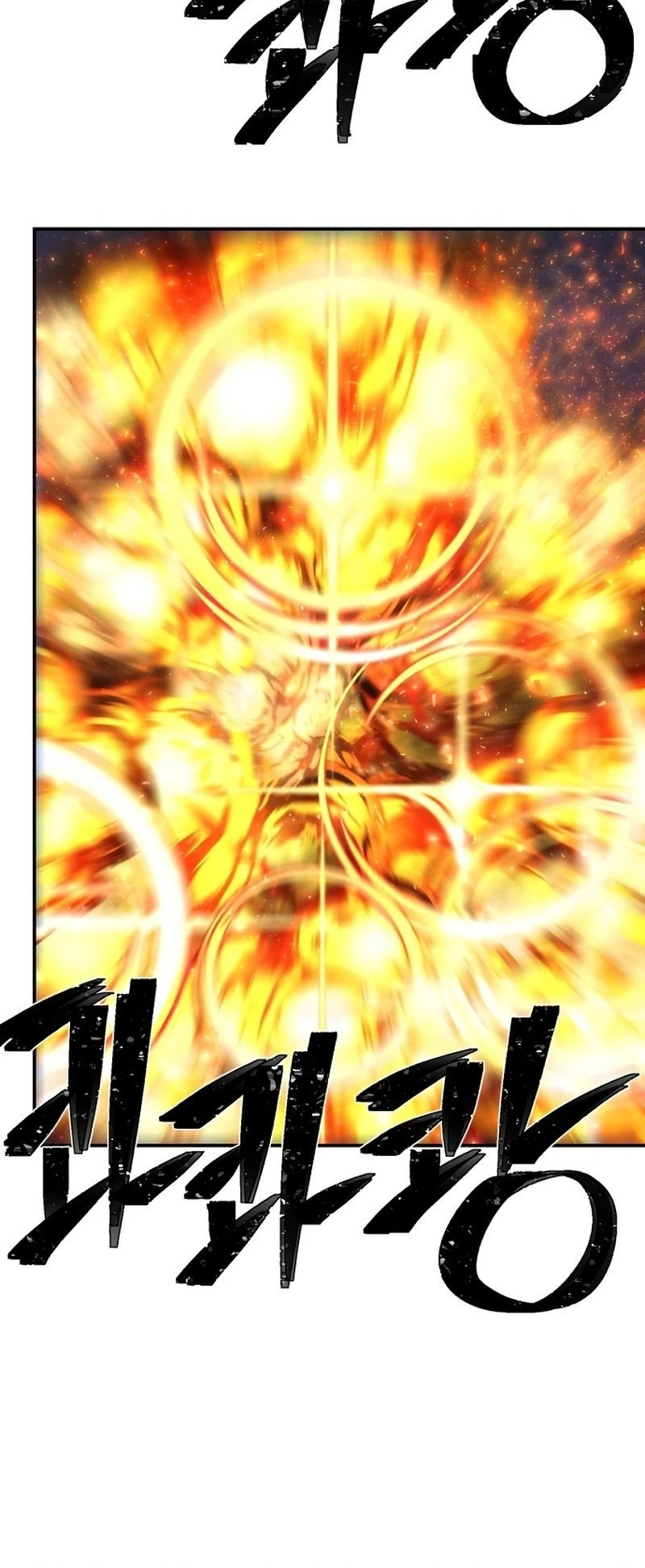 Página 49
