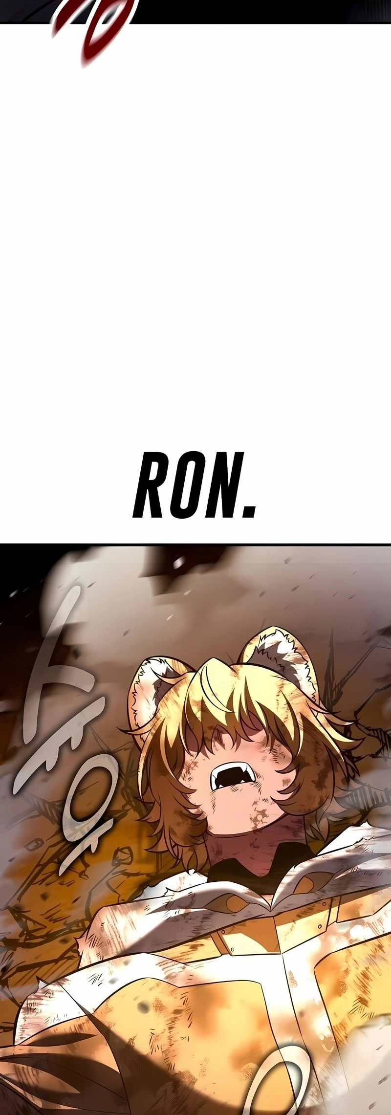 Página 102