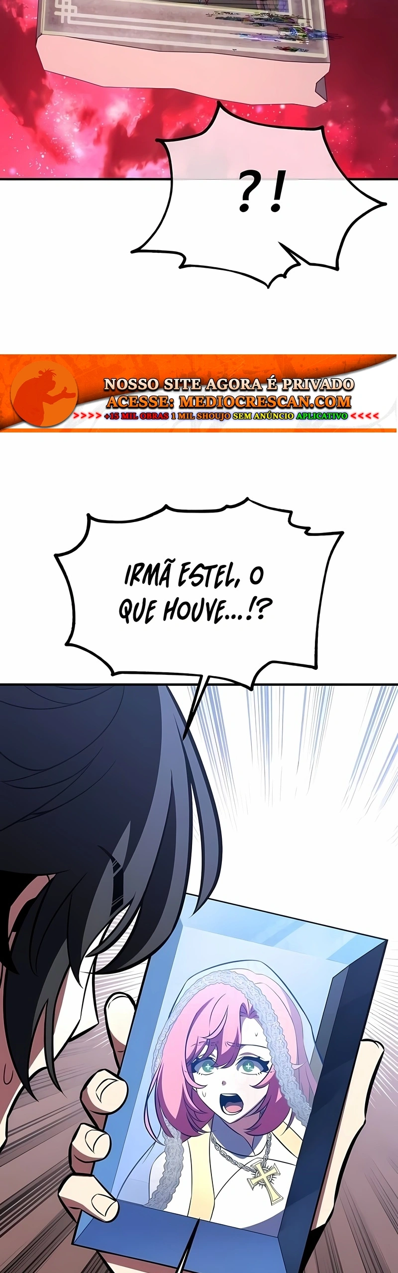 Página 113