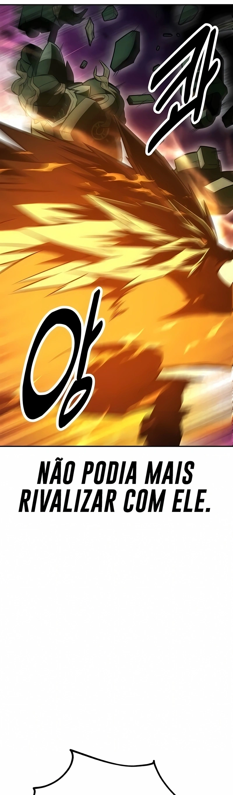 Página 102