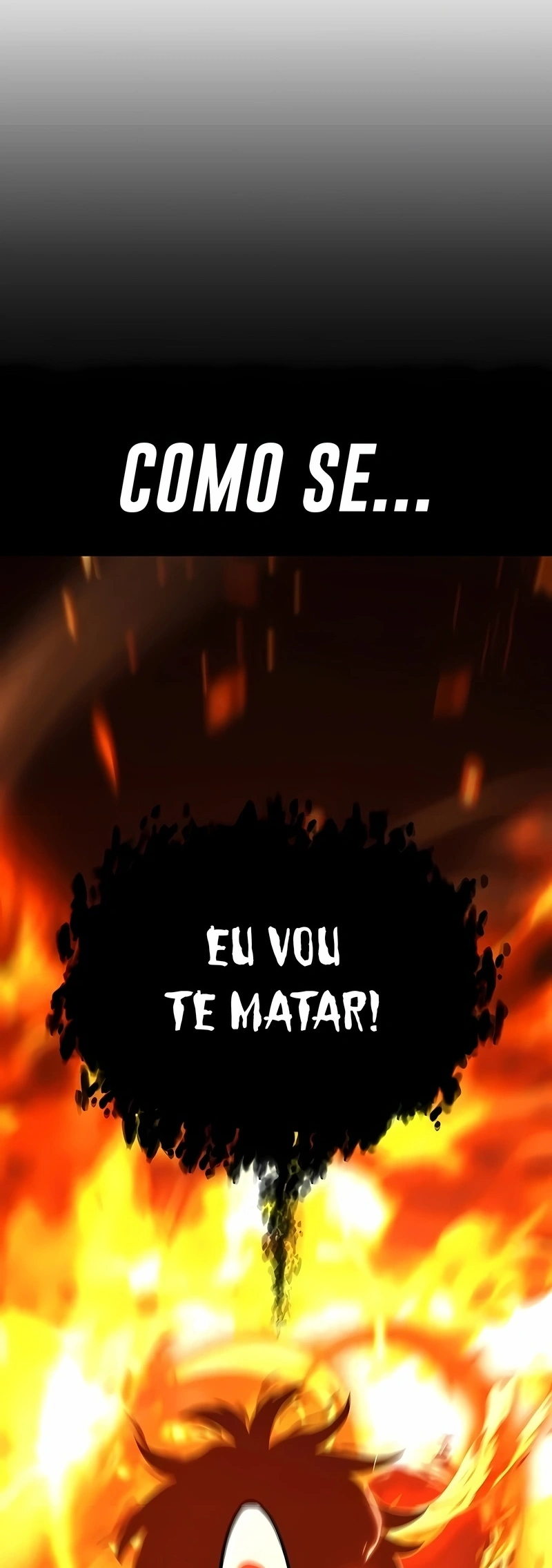 Página 113