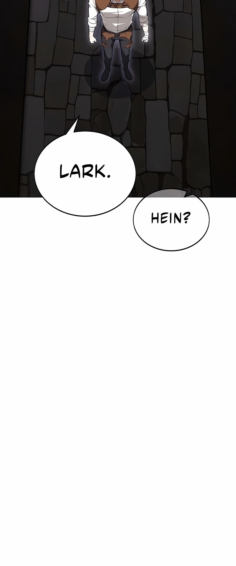 Página 113