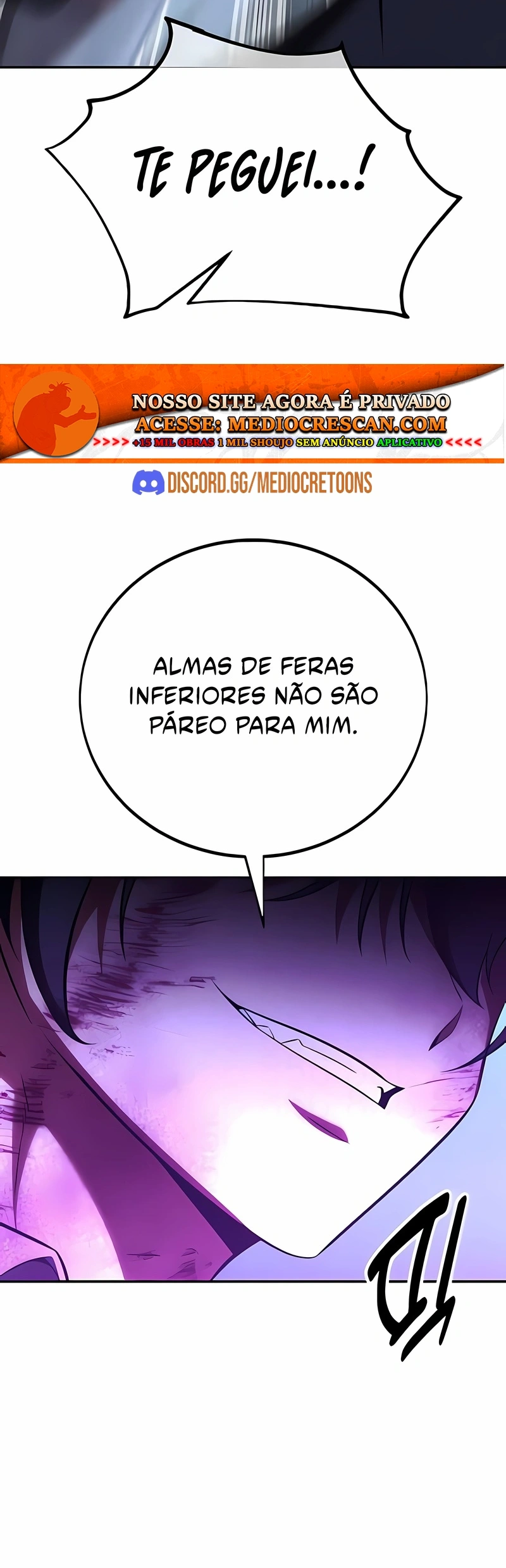 Página 100