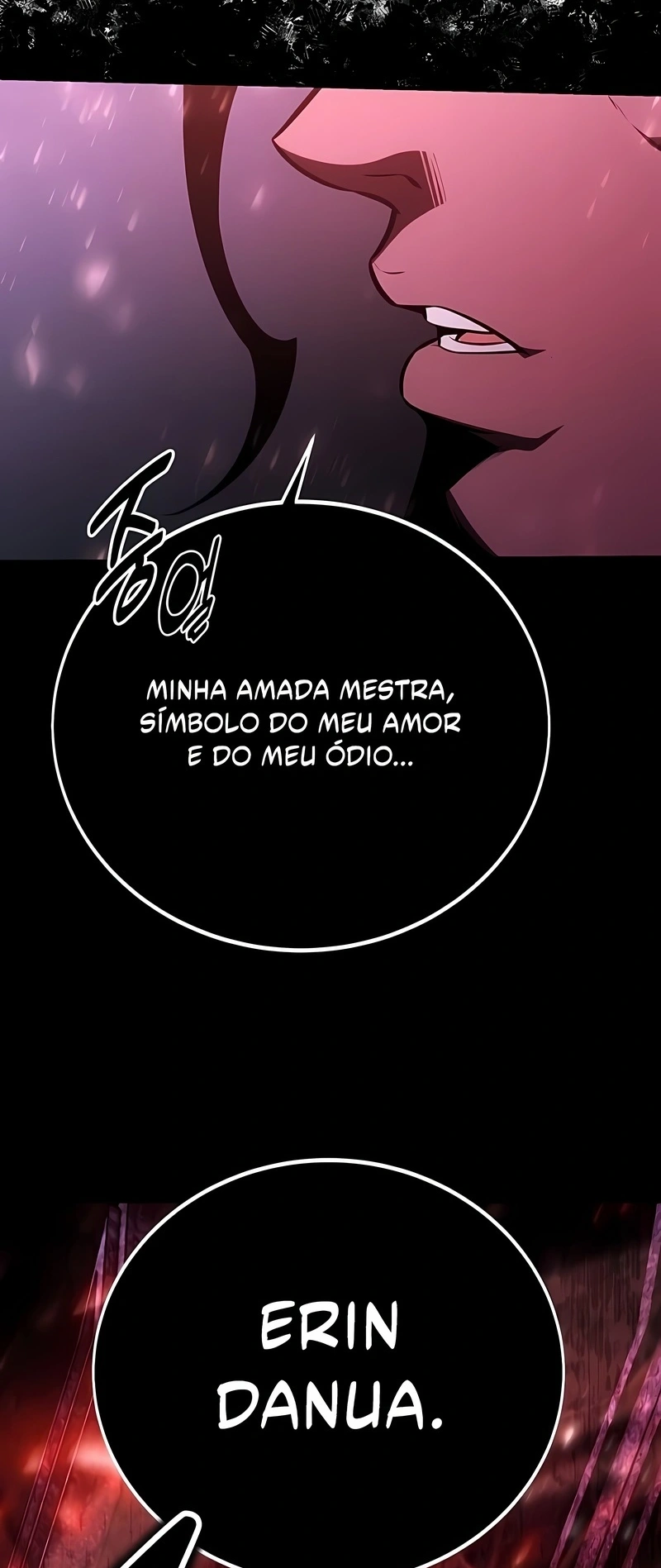 Página 113