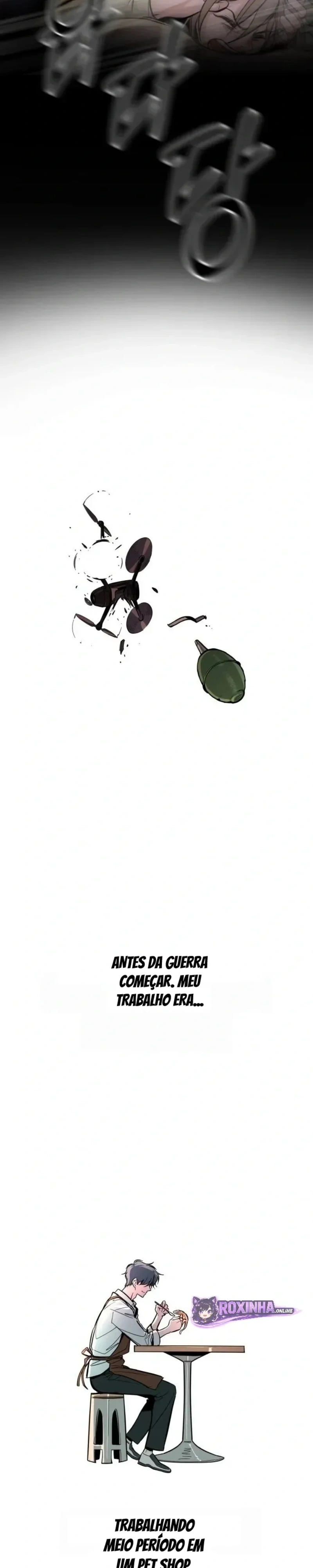 Página 42