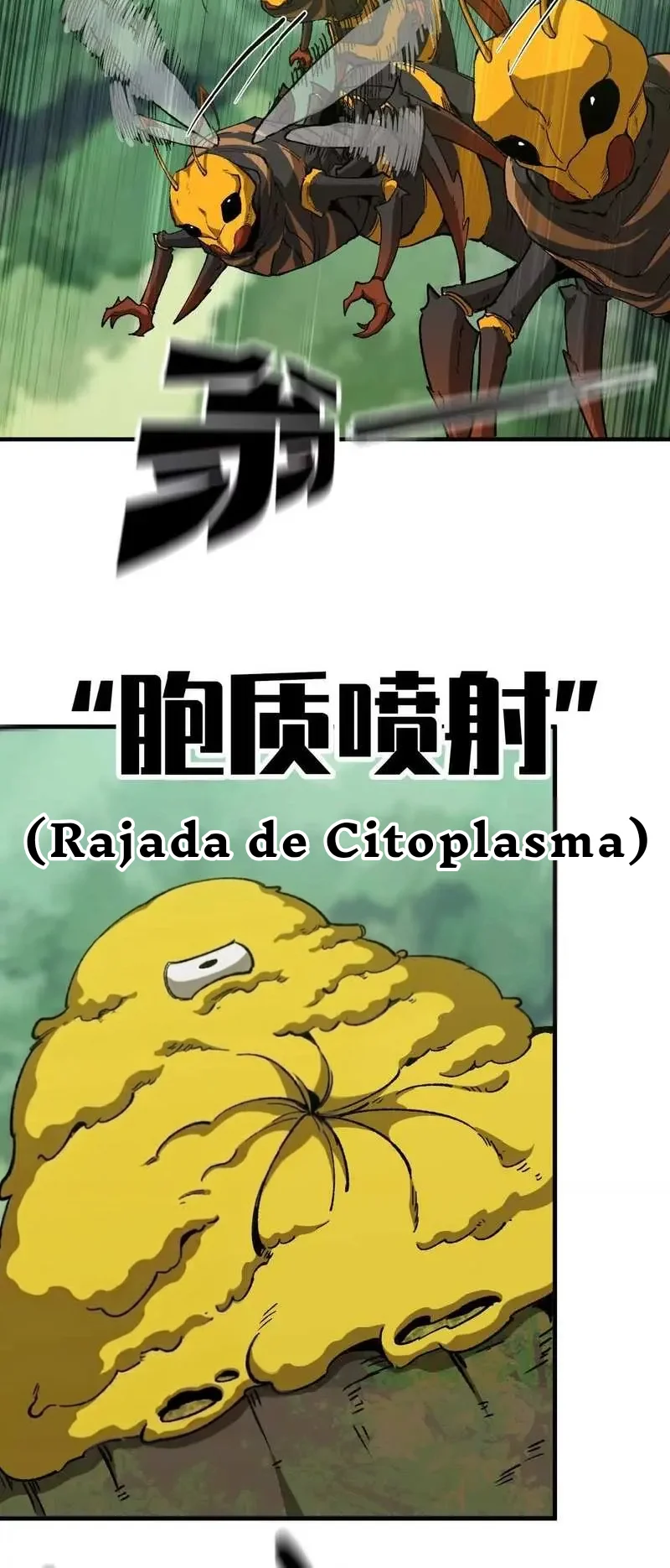 Página 15