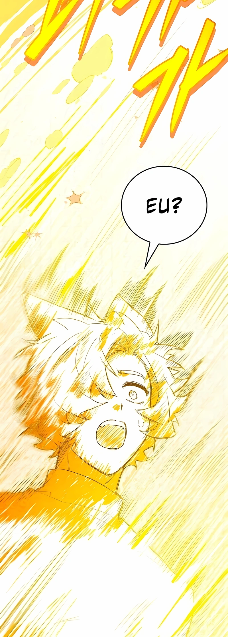Página 111