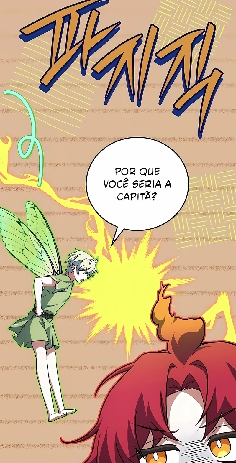 Página 113