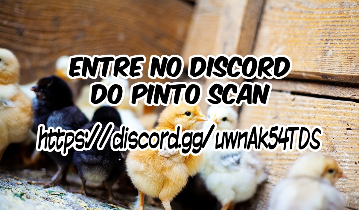 Página 13