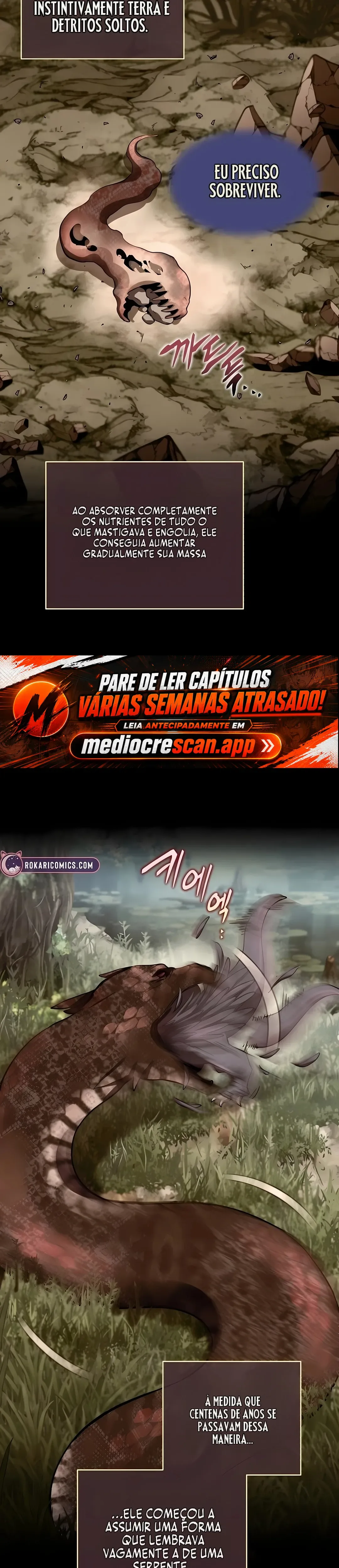Página 13