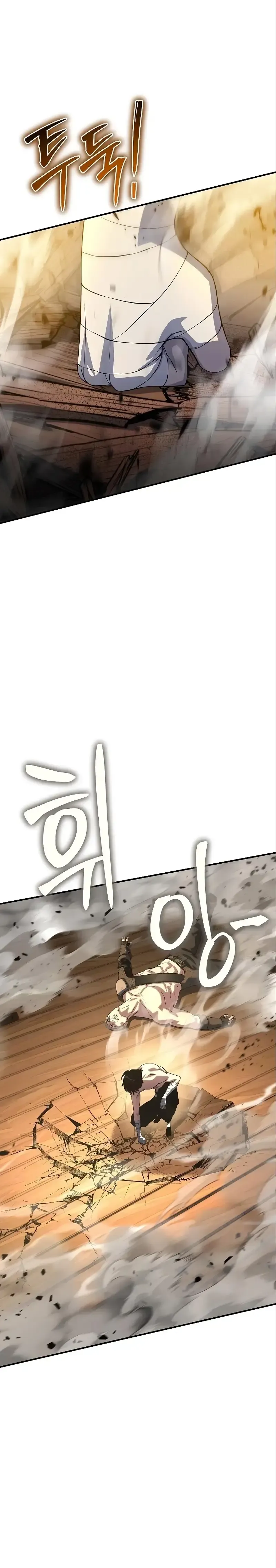 Página 46