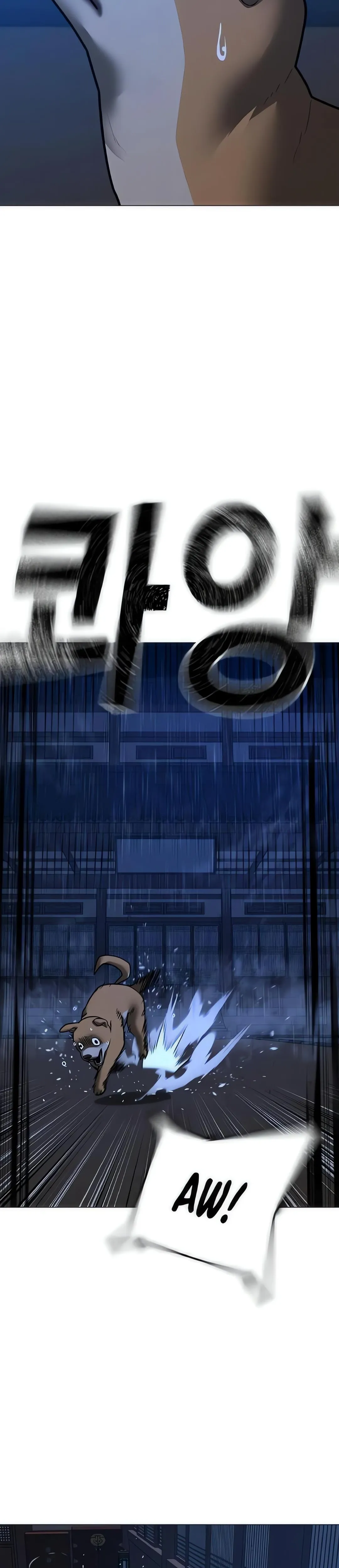 Página 41