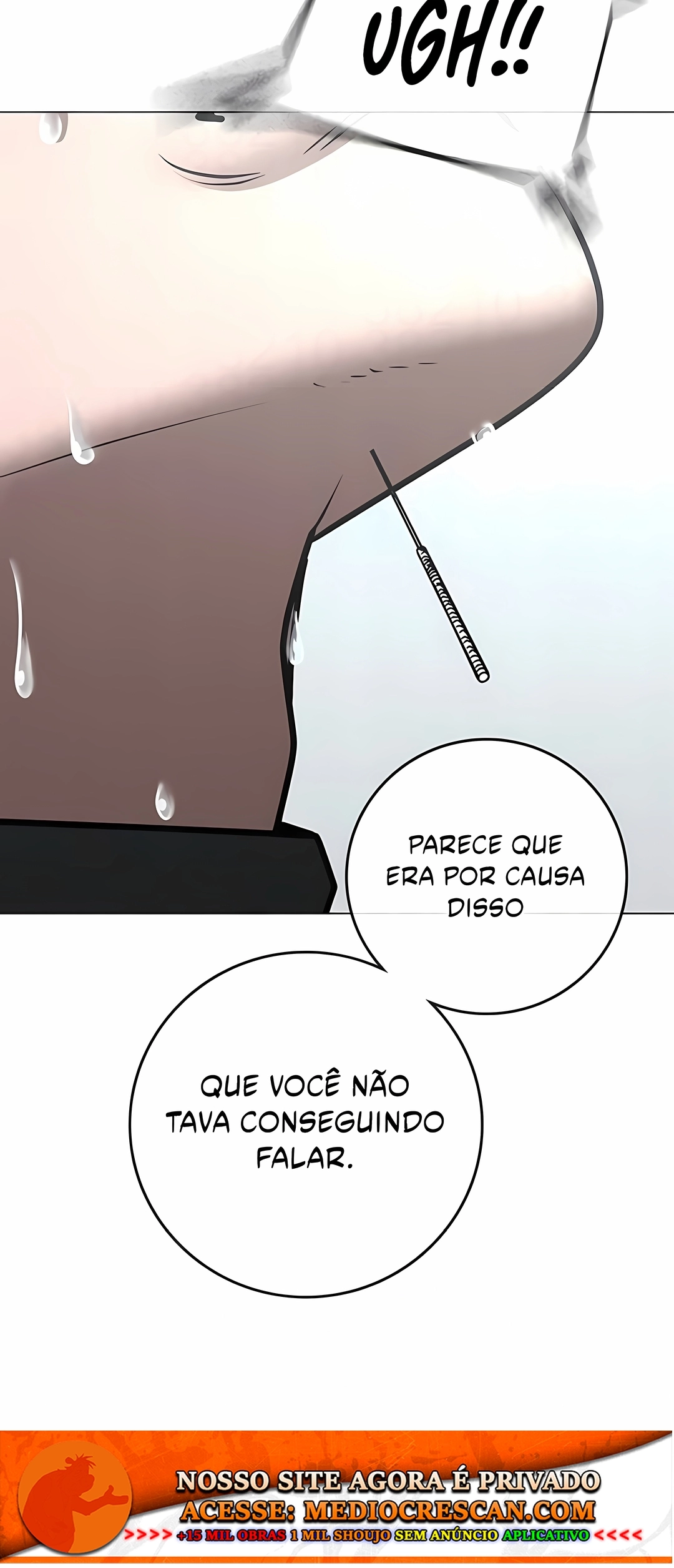Página 36