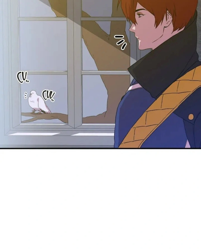 Página 48