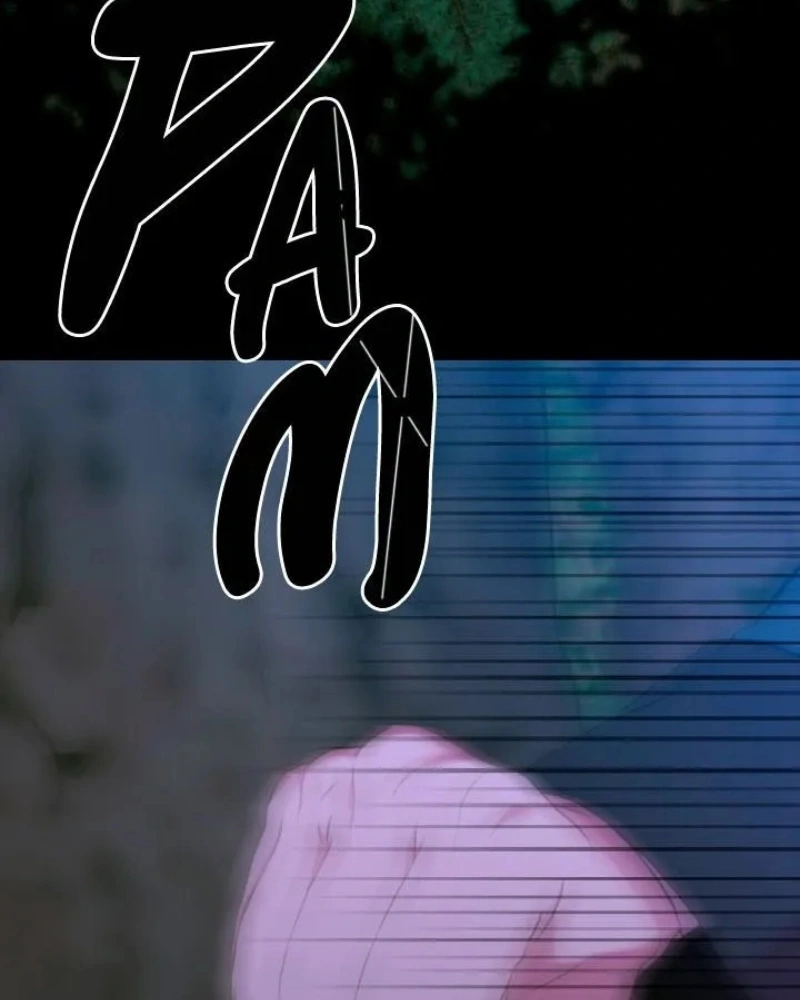 Página 66
