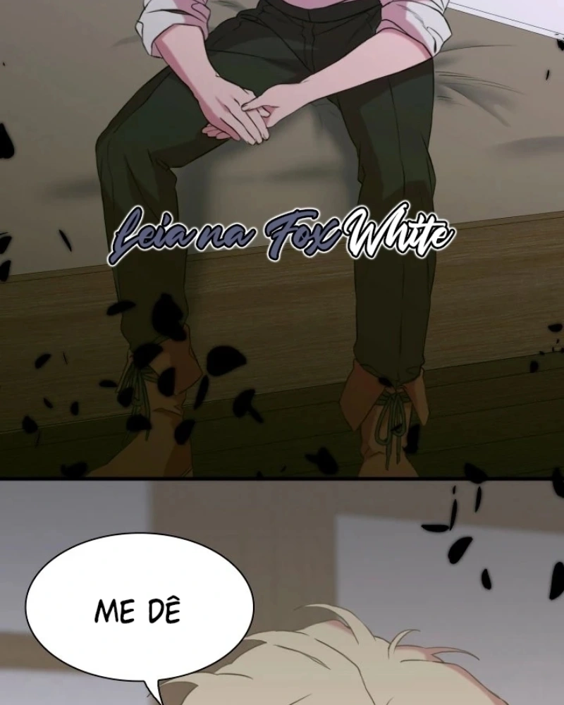 Página 41