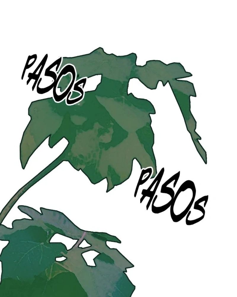 Página 48
