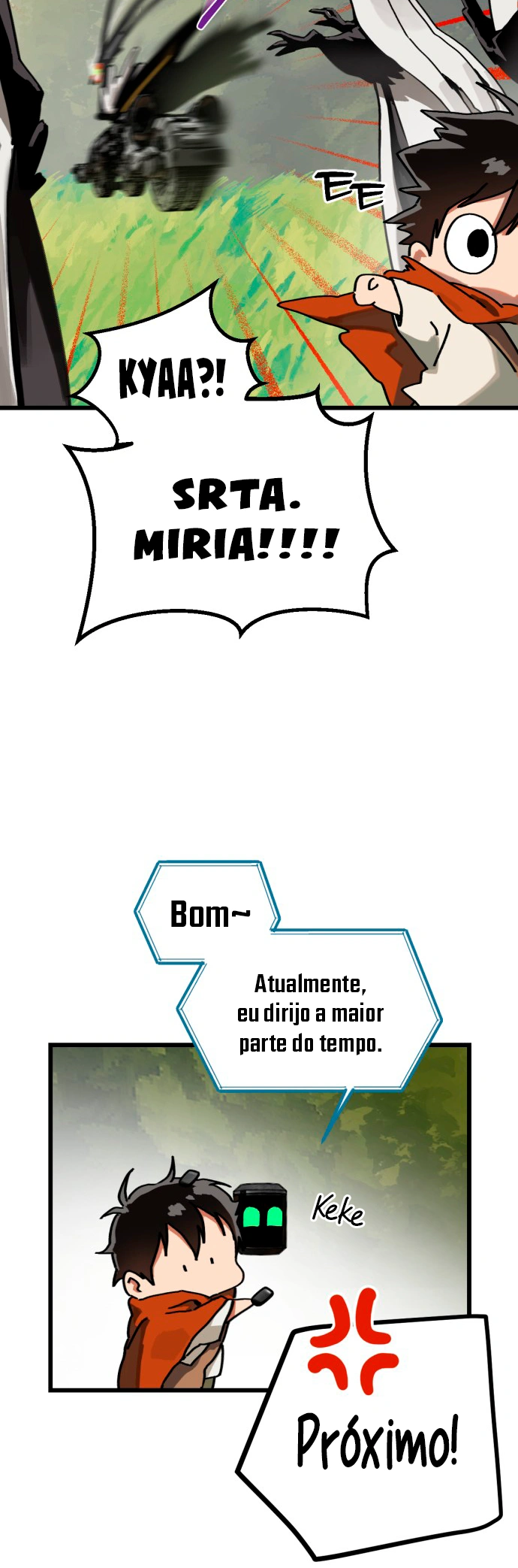Página 29