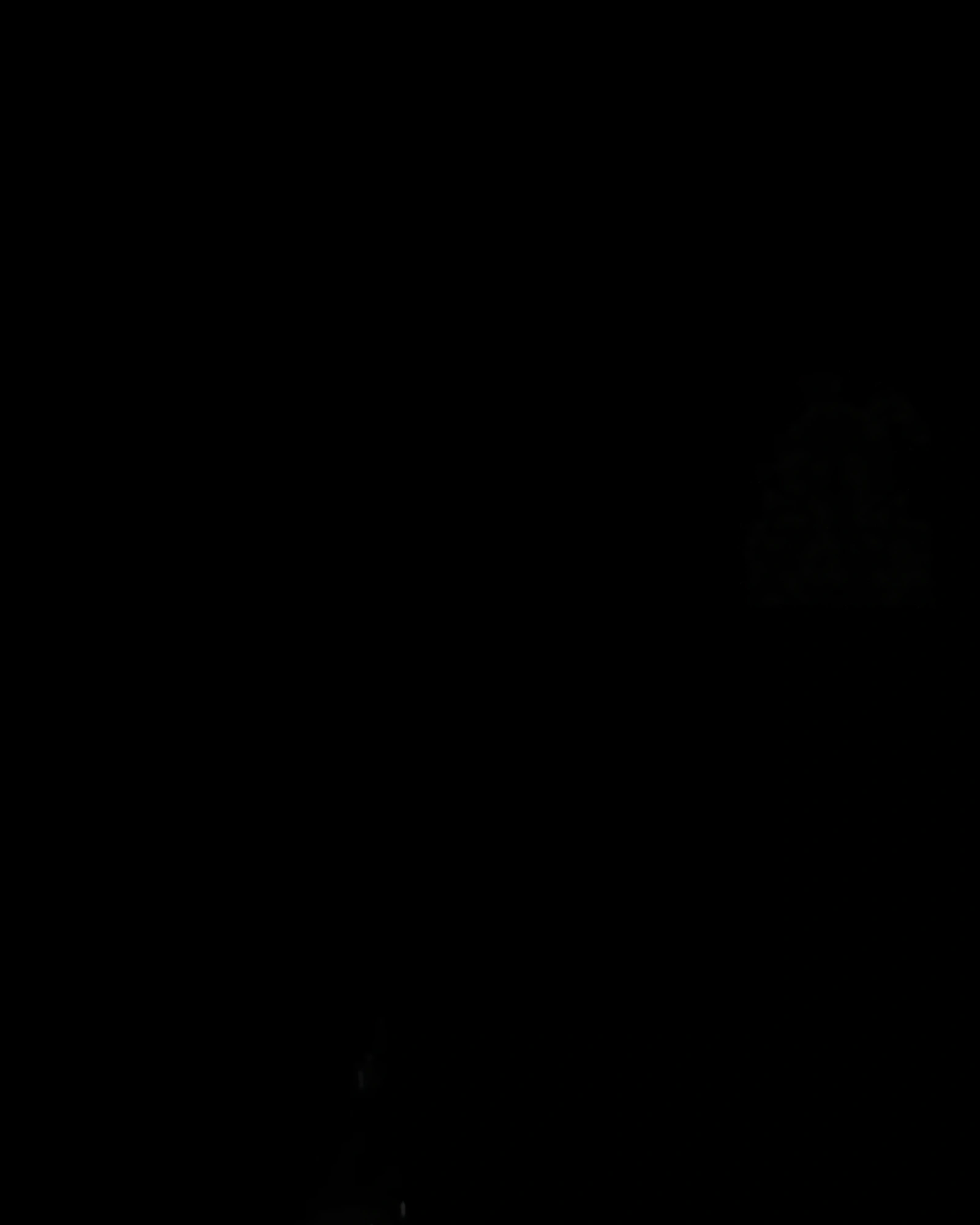 Página 81