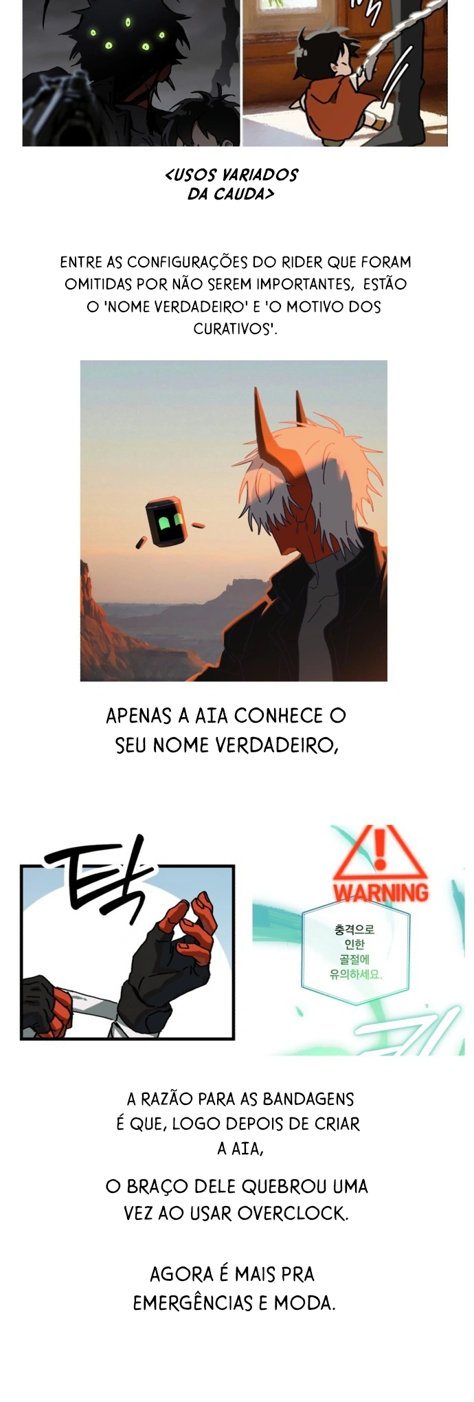 Página 17